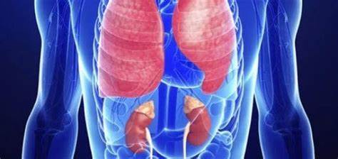 Acometimento pulmonar e renal